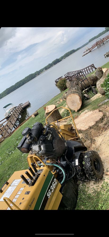 Around The Clock Tree Service - tree service in Thomasville, NC