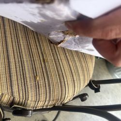 Rosario's Italian Restaurant - The pizza was soaked in grease it went though the box. Could not even carry the pizza because the box was falling apart. A 60+ dollar pizza