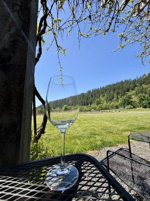 Pomeroy Cellars by null