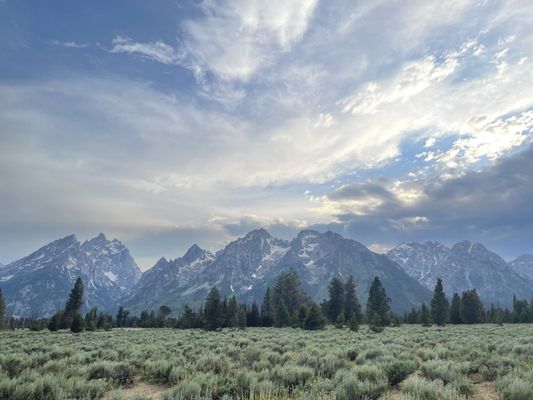 Jackson Hole EcoTour Adventures by null