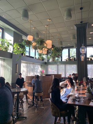 Water Bear Bar by null