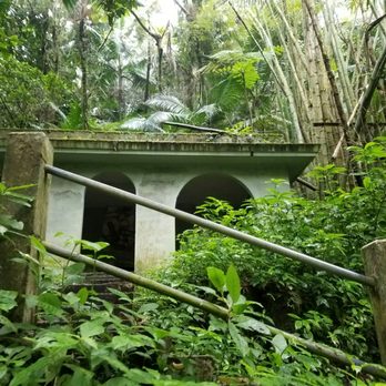 El Yunque Rainforest - Hiking Near Me - Luquillo, Puerto Rico