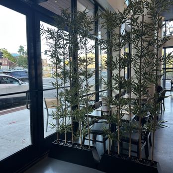 Sushi Ai - indoor as soon as walk through entrance - Sushi Bars Near Me - Clayton, Missouri Sushi Ai - indoor as soon as walk through entrance - Sushi Bars Near Me - Clayton, Missouri