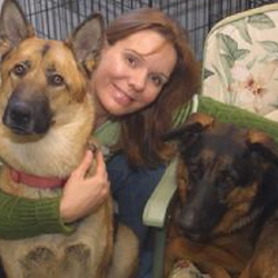 Gentle Dog Training