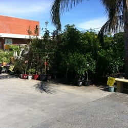 Newton Garden Centre - Costless plants