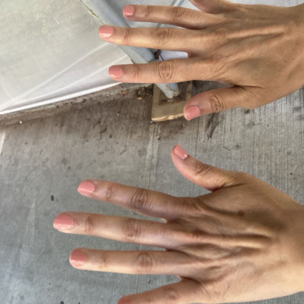 Spring Lily Nail Spa - Basic manicure - Nail Salons Near Me - Forest Hills, New York Spring Lily Nail Spa - Basic manicure - Nail Salons Near Me - Forest Hills, New York