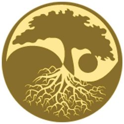 Balancing Point Wellness