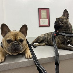 Reno Animal Hospital