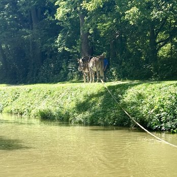Jimmel Tours - Donkeys pulling the barge through the lock. - Tours Near Me - Davison, Michigan