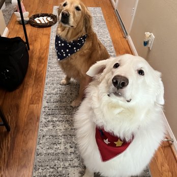 Zoe's Pawfection - Our Pups- Bayleigh and Nova - Pet Groomers Near Me - Katy, Texas Zoe's Pawfection - Our Pups- Bayleigh and Nova - Pet Groomers Near Me - Katy, Texas