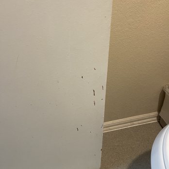 Ocean Star Inn - Chunks missing from bathroom door - Hotels Near Me - Sequim, Washington