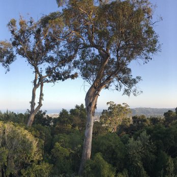 Shoreline Park - Parks Near Me - Santa Barbara, California