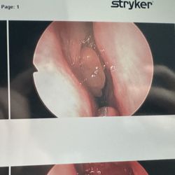 South Coast Ear, Nose and Throat: Avrum Kaufman, DO - Bye bye!