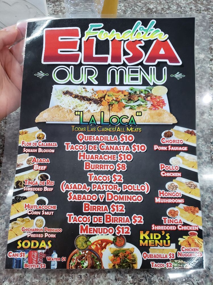 Fondita Elisa