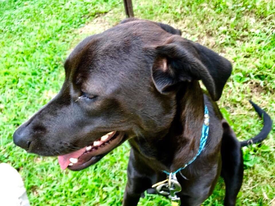 FULTON AUTO SALVAGE Updated August 2024 277 Honey Hill Rd, Fulton