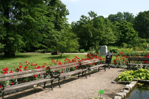 Botanical Garden of the University of Wrocław by null