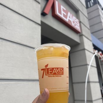 7 Leaves Cafe - Bubble Tea Near Me - San Francisco, California 7 Leaves Cafe - Bubble Tea Near Me - San Francisco, California