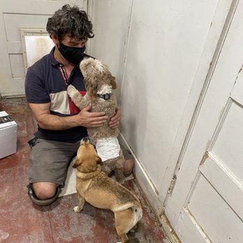 Toce Plumbing - Francesco with Coco & Waffles - Plumbing Near Me
