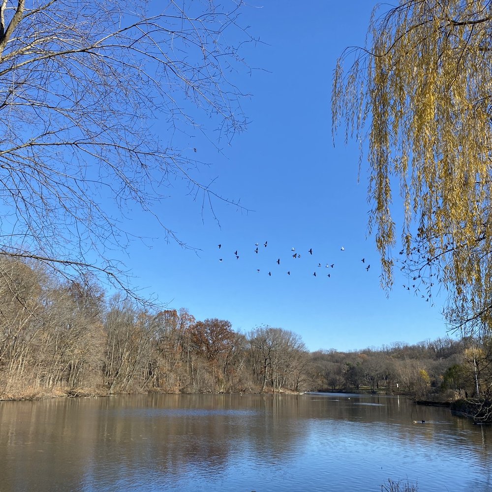 Van Cortlandt Park  - birdwatching - Parks Near Me - Bronx, New York