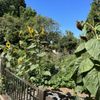 Edith Johnson Park gift card