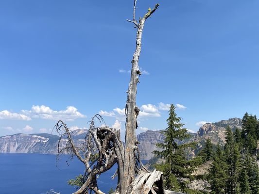 Crater Lake by null