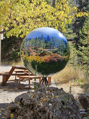 Betty Ford Alpine Gardens by null