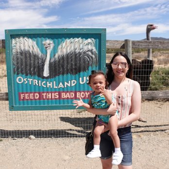Ostrichland USA - Attraction Farms Near Me - Solvang, California