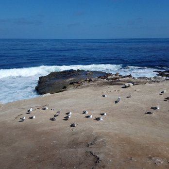 La Jolla Cove - Parks Near Me - La Jolla, California