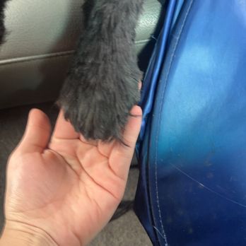 Happy Paws Grooming Salon - Sloppy grooming - Pet Groomers Near Me - Morrison, Colorado