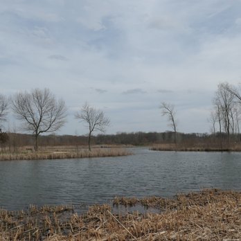 Half Day Forest Preserve - Parks Near Me - Vernon Hills, Illinois