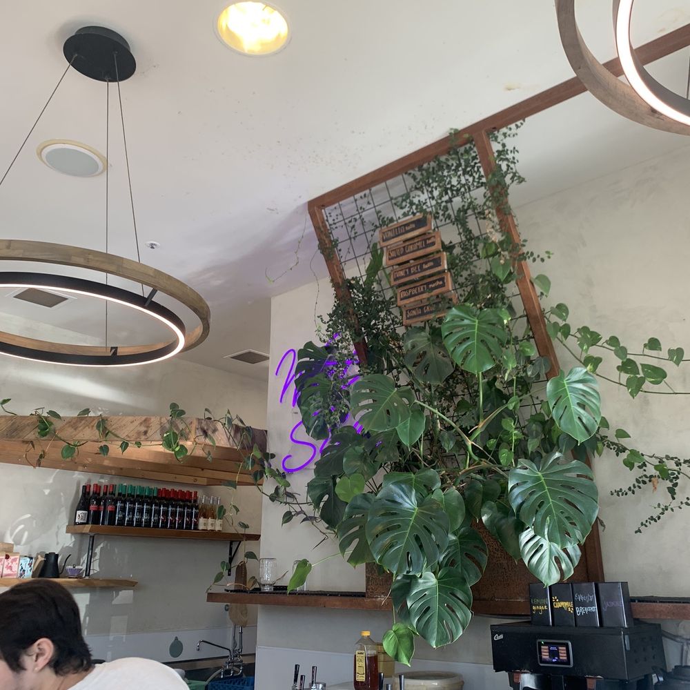 11th Hour Coffee - Bar area - Coffee & Tea Near Me - Santa Cruz, California 11th Hour Coffee - Bar area - Coffee & Tea Near Me - Santa Cruz, California