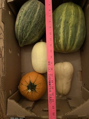 Del Bosque Farms by null