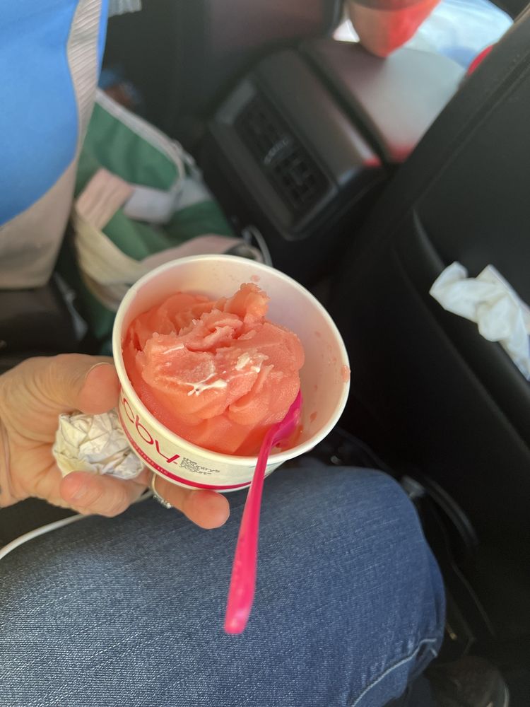 TCBY SHREVEPORT Updated June 2024 13 Photos & 11 Reviews 1704 East Bert Kouns Loop