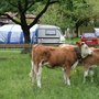 Photo of Campingplatz Oberei