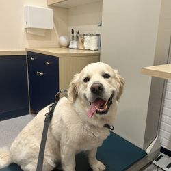Bond Vet - Paramus