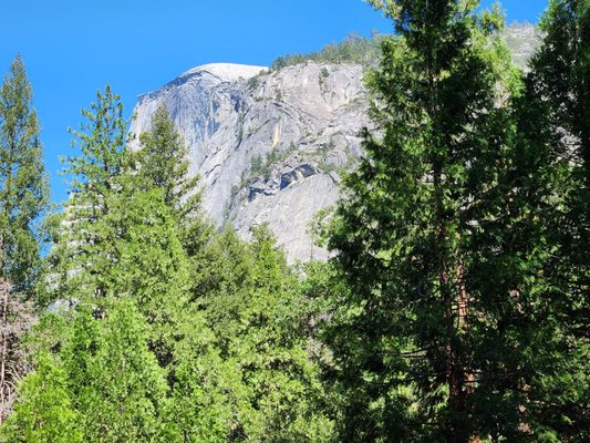 Upper Pines Campground by null