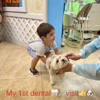 Tiki Dental - Pediatric Dentists Near Me - Hallandale Beach, Florida Tiki Dental - Pediatric Dentists Near Me - Hallandale Beach, Florida