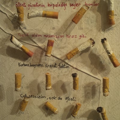 The Museum of Innocence by null