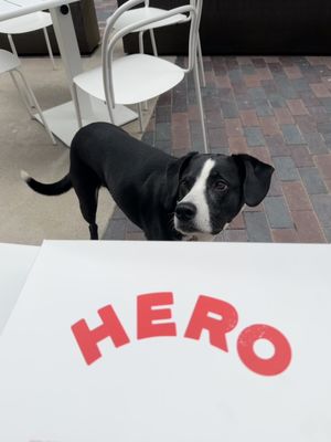 HERO by null
