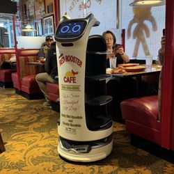 Red Rooster Cafe - Robot helper!... delivering orders. So cute!