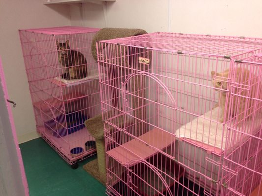 Wichita pet supply Clearance