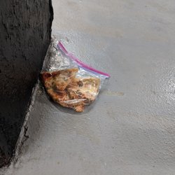SEPTA City Hall Station - FOUND: 2 SLICES OF PIZZA IN A ZIPLOC BAG. Appears to be veggie.