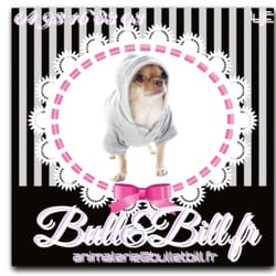 Bull et Bill - www.bulletbill.fr