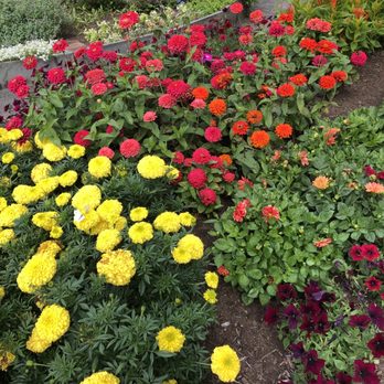 Deep Cut Gardens - Botanical Gardens Near Me - Middletown, New Jersey