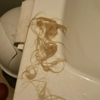 The Parlour - DAMAGE DONE AFTER 5 BLEACHING DONE - Hair Extensions Near Me - Philadelphia, Pennsylvania The Parlour - DAMAGE DONE AFTER 5 BLEACHING DONE - Hair Extensions Near Me - Philadelphia, Pennsylvania