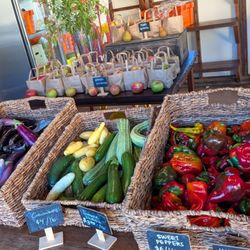 Velma’s Farm Stand - Filigreen Farm