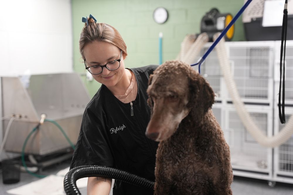 TANGLED TAILS GROOMING SALON - Updated February 2026 - 25 Photos & 19 ...