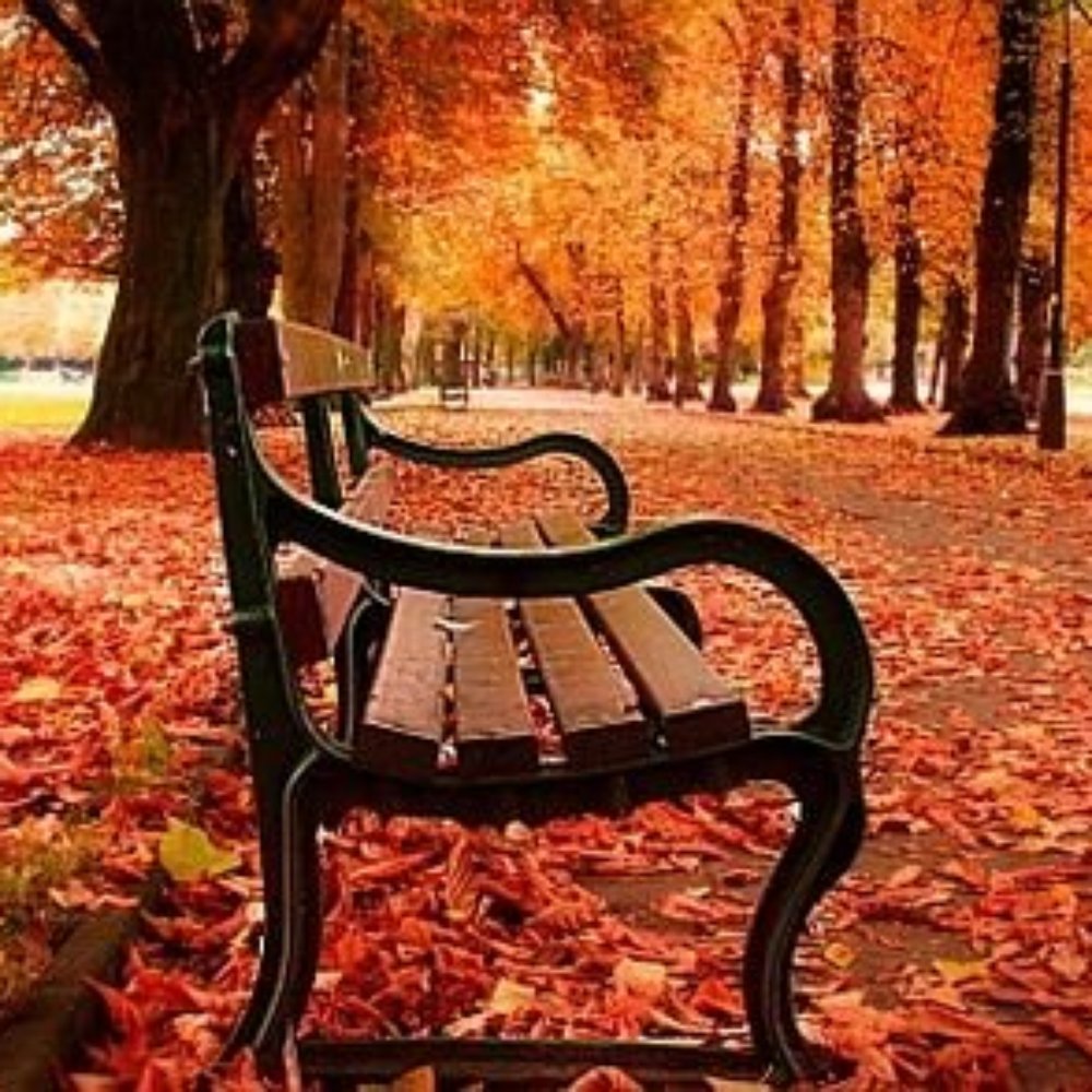 Longford Park - friendsoflongfordpark.org.uk - Parks Near Me - Manchester, XGM