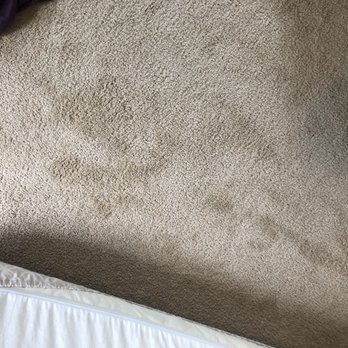 ServicePro Carpet Cleaning - This is another stain 1 day after he cleaned - Carpet Cleaning Near Me - Snellville, Georgia ServicePro Carpet Cleaning - This is another stain 1 day after he cleaned - Carpet Cleaning Near Me - Snellville, Georgia