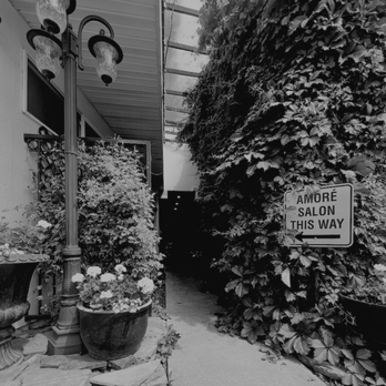 Amoré Salon & Spa - Amoré Salon Secret Garden Entrance - Hair Salons Near Me - Kalispell, Montana Amoré Salon & Spa - Amoré Salon Secret Garden Entrance - Hair Salons Near Me - Kalispell, Montana